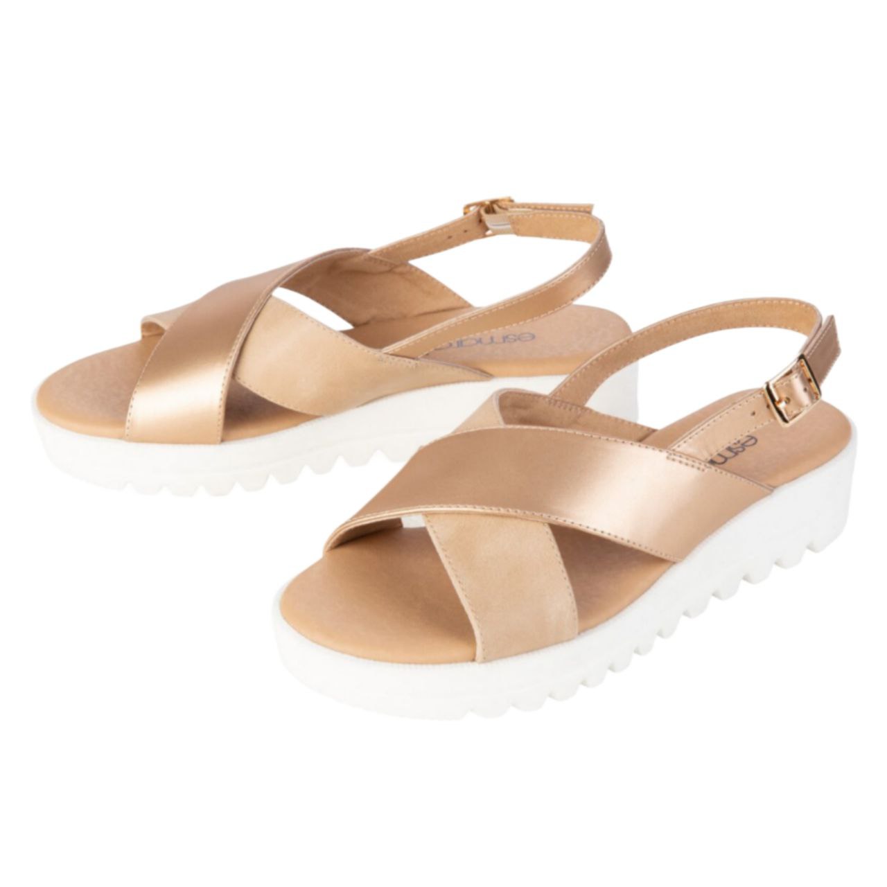 photo_2025-11-13_11-20-02